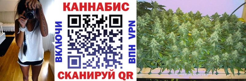 Марихуана гибрид  где купить наркоту  Артёмовский 